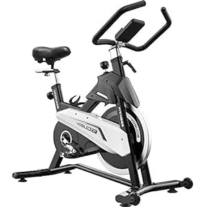 YOSUDA Spin Bike