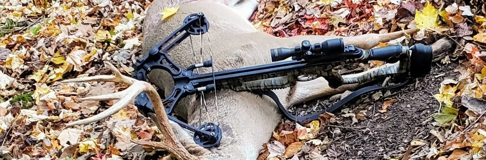 Best Crossbows Under $400, Tested