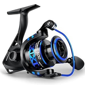 KastKing Spinning Reel Under $100