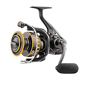 Daiwa Bg Spinning Reel Under $100
