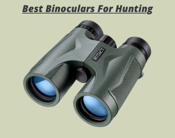 Best Binoculars for Hunting