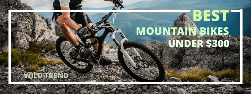 Best Mountain Bikes Under $300 - Buyer's Guide