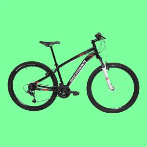 Best Mountain Bike under 300 for Trail Riding