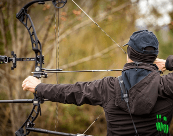Compound Bows Reviews - Under $500