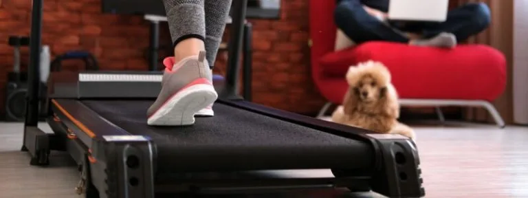 Best Treadmills Under $500 & Buyer's Guide