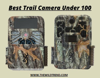Trail Camera Reviews