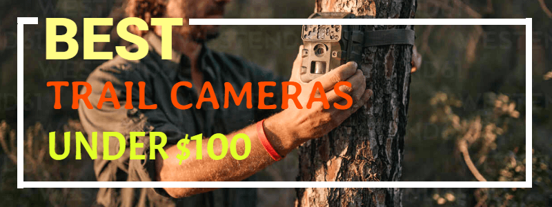 Top 10 Trail Camera Under Reviews $100