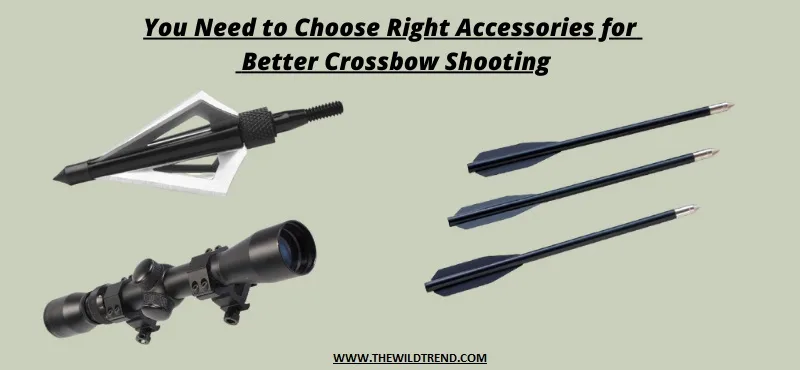 essential crossbow hunting accessories bolts quiver rope cocking device