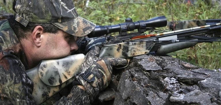 Tips for Crossbow Hunting for Beginners