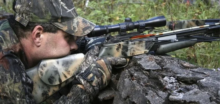 Tips for Crossbow Hunting for Beginners