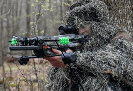 Everything About Bow Hunting You Need to Know