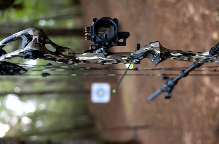 Best Budget Bow Sights Under $100