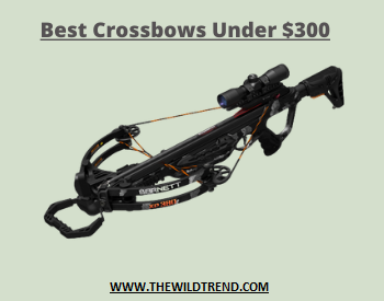 Crossbows Reviews Under $300