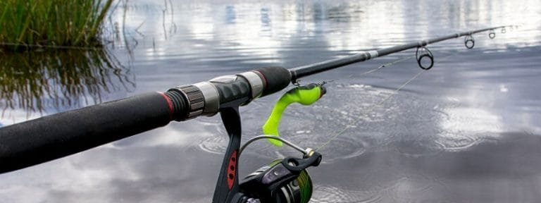 Best Spinning Rods Under $100 - Reviews & Guide