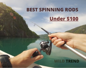 Best Spinning Rods Under $100 Reviews & Buying Guide