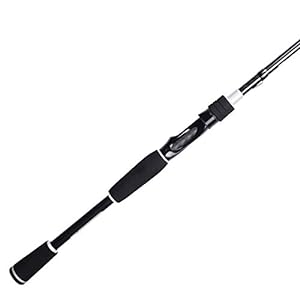 KastKing Perigee II Spinning Rod Under $50