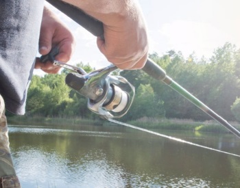 Spinning Reel Reviews Under $50