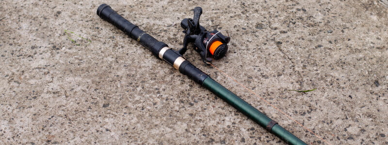 Best Spinning Rods Under $50 & Buyer's Guide