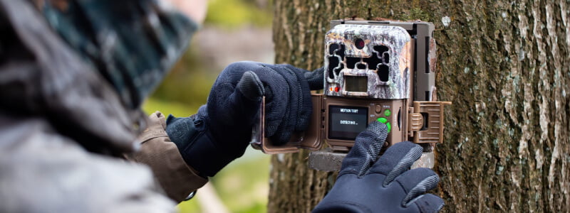 Top 10 Best Trail Camera Under $50 Reviews