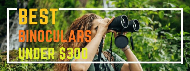 Binoculars Under $300 - Buyer's Guide
