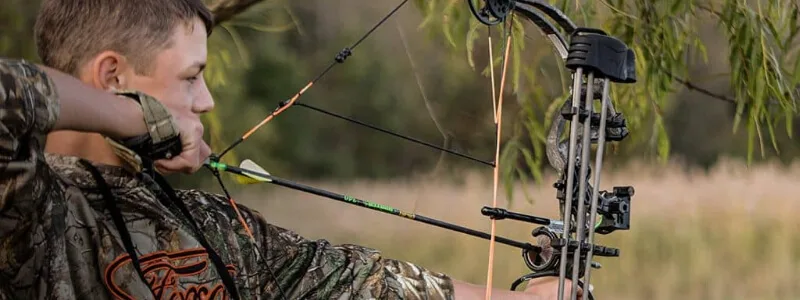 Best Compound Bows Under 300 & Buyer's Guide