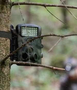 Best Trail Cameras Under $50