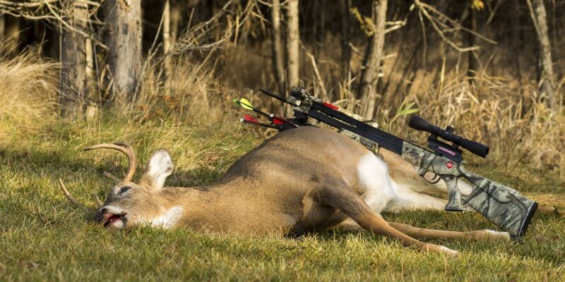 12 tips for deer hunting