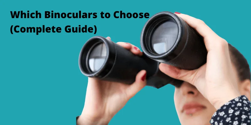 Which Binoculars Should You Buy? Full Guide to Choosing the Right Model