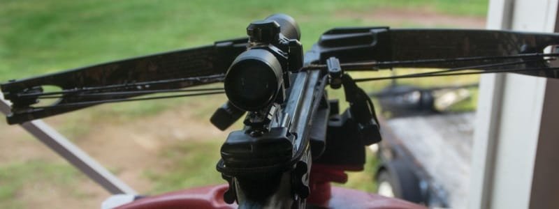 3 Simple Step to Maintain Your Crossbow - WILD Trend