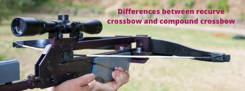 Recurve vs Compound Crossbow: Which Is Better for Hunting?