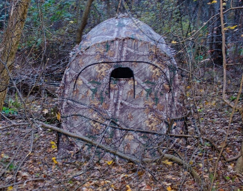 Best Hunting Blinds