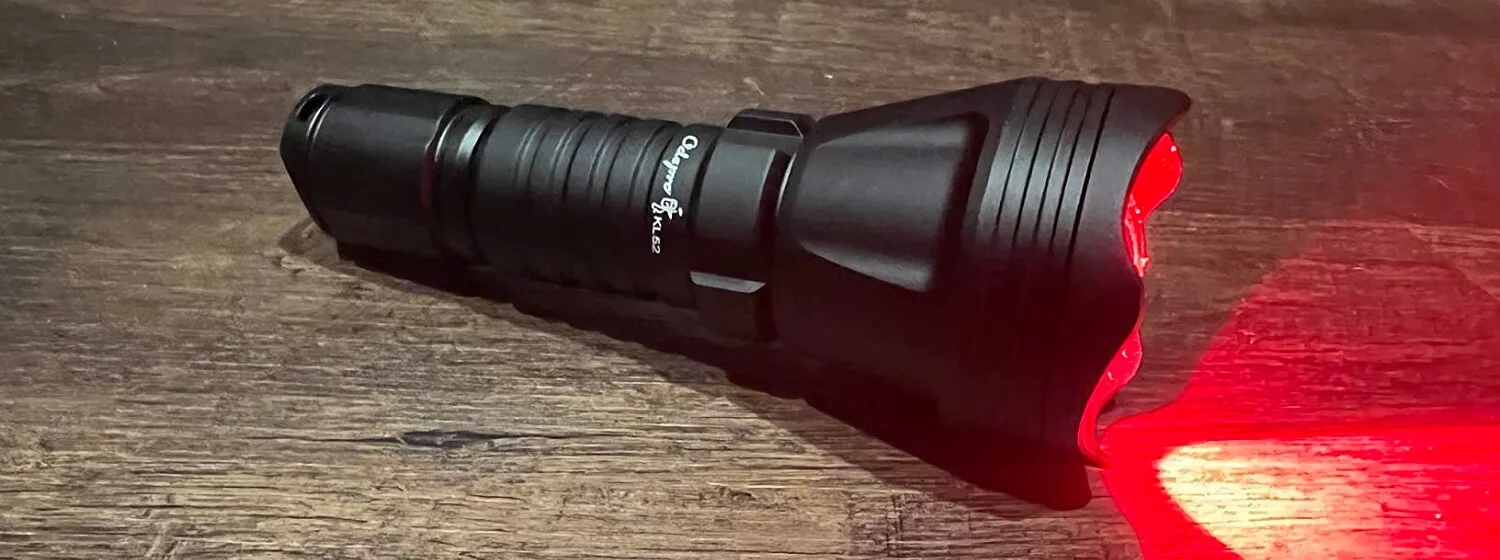 Best Predator Hunting Lights