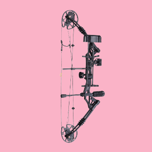 Compound Bow Reviews Under $200