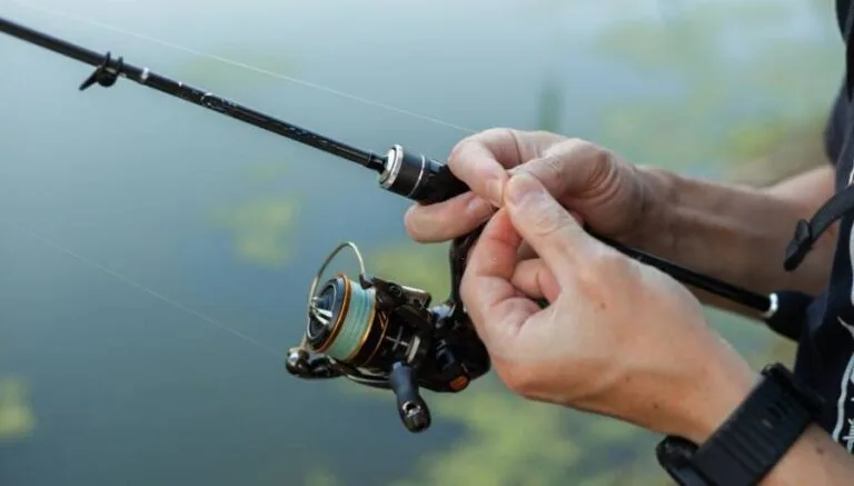 How to choose fishing line