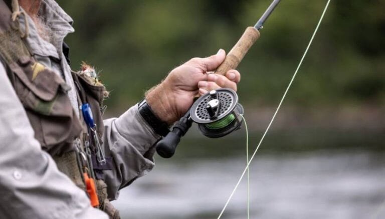 Best Braid for Spinning Reels