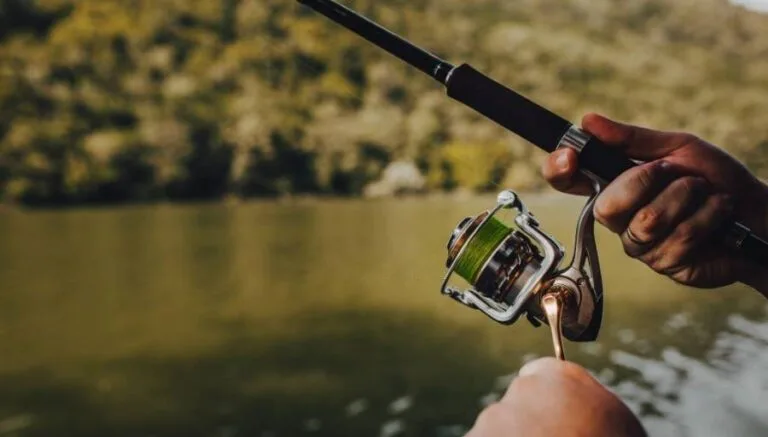 Best Spinning Rods in Current Year