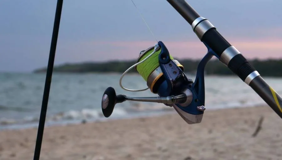 Best Surf Fishing Reels for 2026 - Buying Guide