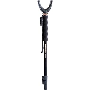 Vanguard Quest Hunting Stick