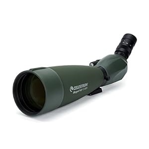 Celestron Regal M2 Spotting Scope for 1000+ Yards