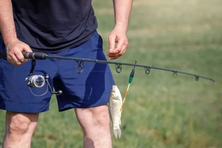 Best Fishing Shorts Reviews