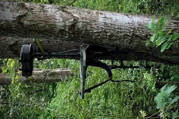 Best Hang-On Tree Stands of 2026 (Top Picks Tested for Comfort & Stability)