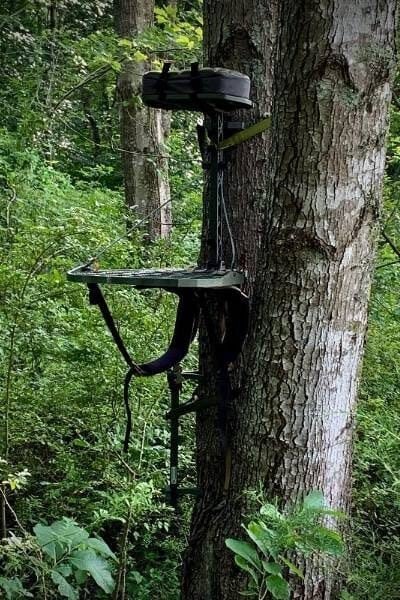 Best Hang-On Tree Stands of 2026 (Top Picks Tested for Comfort & Stability)