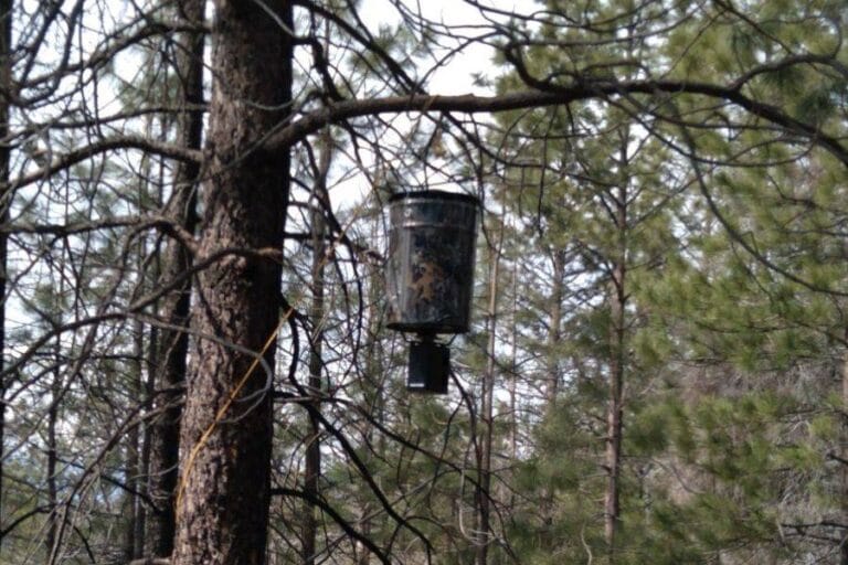 Best Hanging Deer Feeders Wild Trend