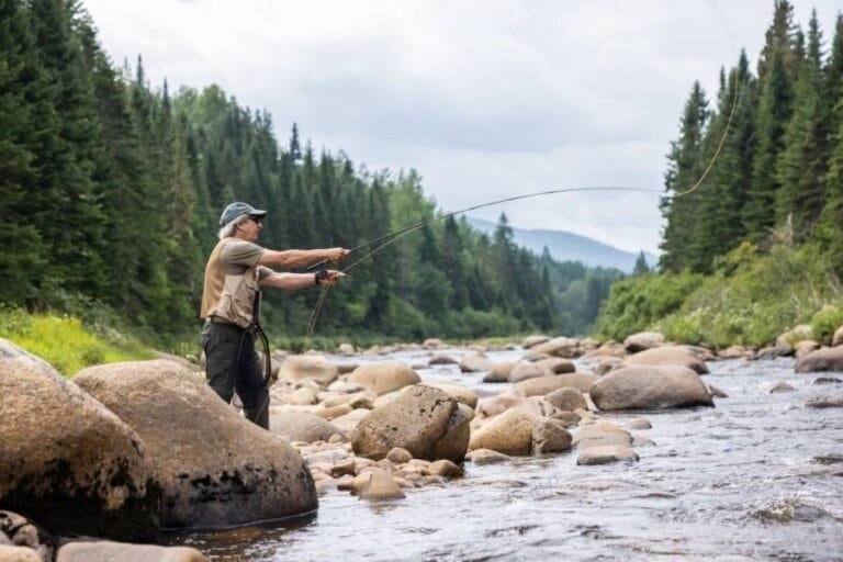 Best Fly Fishing Rods