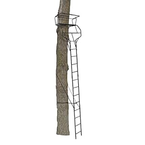 BIG GAME 2 Man Ladder Stand