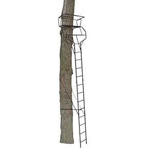 BIG GAME Guardian XLT two-man ladder tree stand with Flex-Tek seats