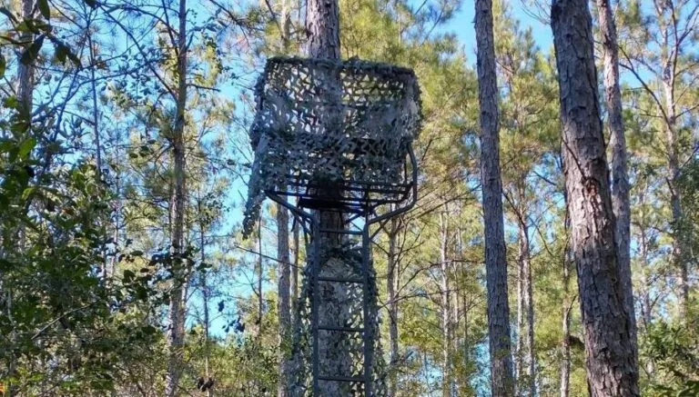 Best 2-Man Ladder Stands 2026 – Top Picks for Hunters