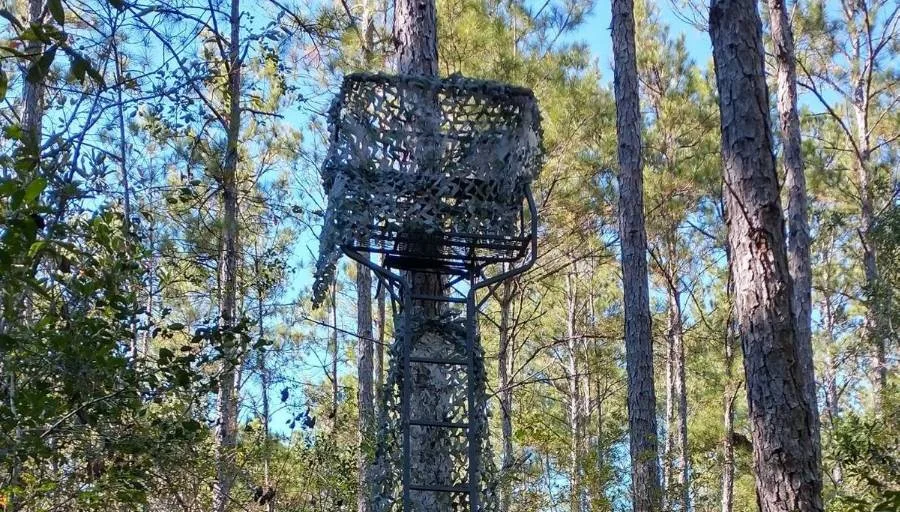 Best 2-Man Ladder Stands 2026 – Top Picks for Hunters