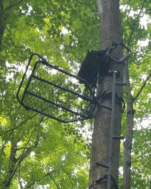 Best hang on tree stands of 2024 wild trend