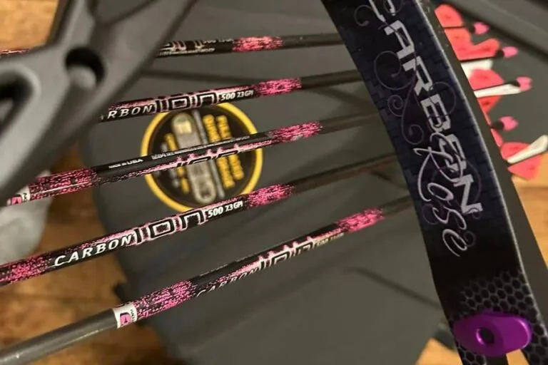 Best Carbon Arrows Reviews